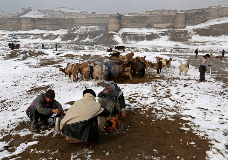 Afghans have tea as they sell sheep in an open livestock market near Bala Hissar, an old fortress in Kabul January 25, 2015. REUTERS/Mohammad Ismail (AFGHANISTAN - Tags: SOCIETY FOOD)