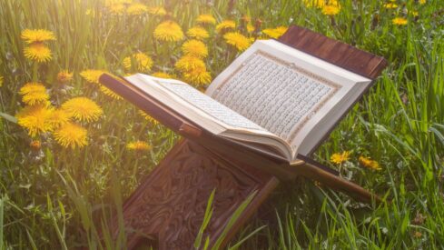 الجنة النار القرآن الكريم